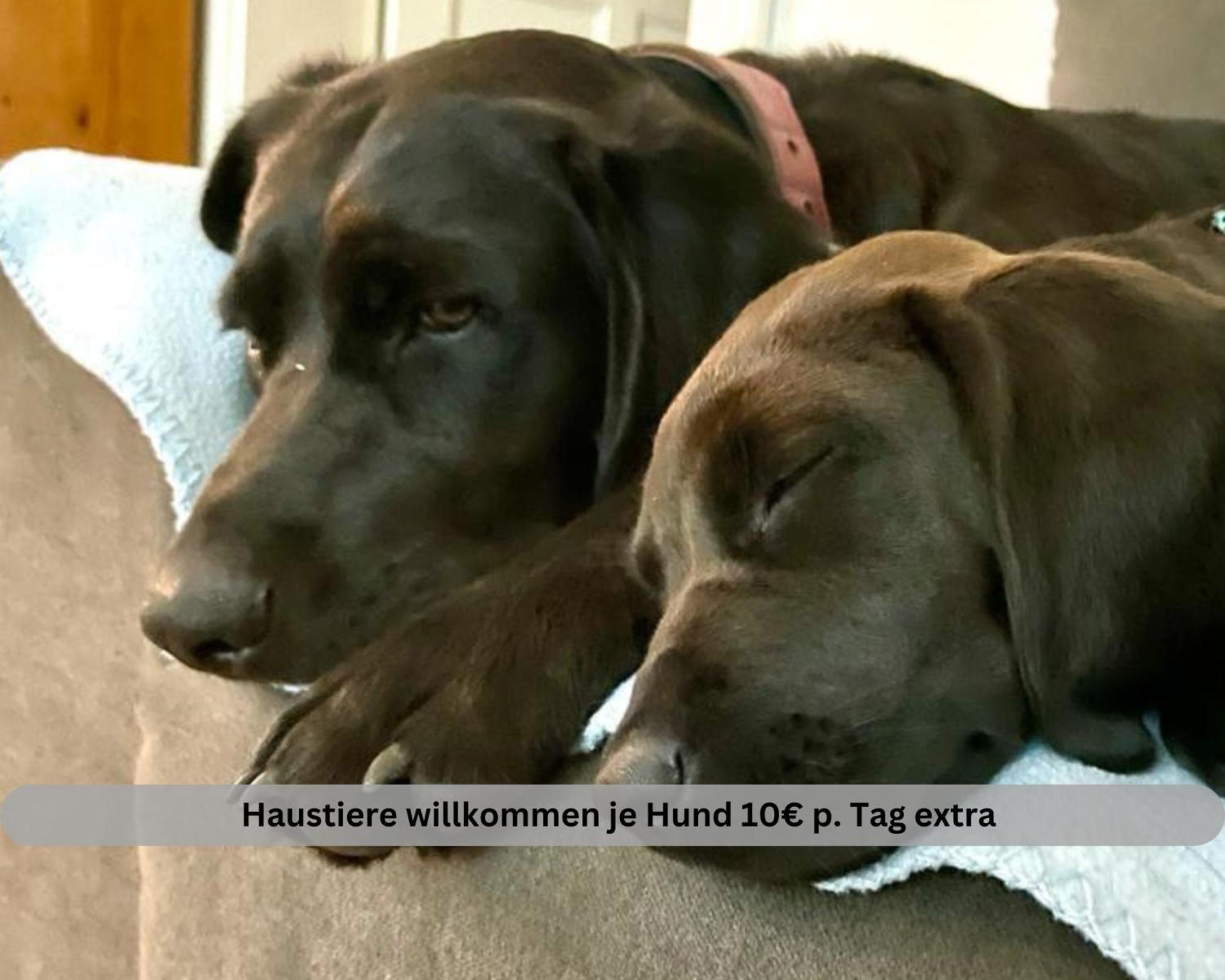 Lodge Of Africa - Einzigartige Themenzimmer, Eingezaeunten Garten, Sauna, Whirlpool & Kamin, Hunde Willkommen, Gasgrill, Voll Ausgestattete Kueche, Grosser Essbereich, Hamburg & Stade In Der Naehe Twielenfleth Luaran gambar